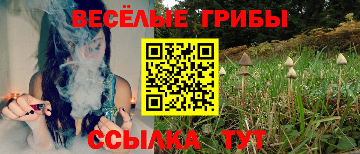 Скопин  Галлюциногенные грибы мицелий  Вход с VPN 