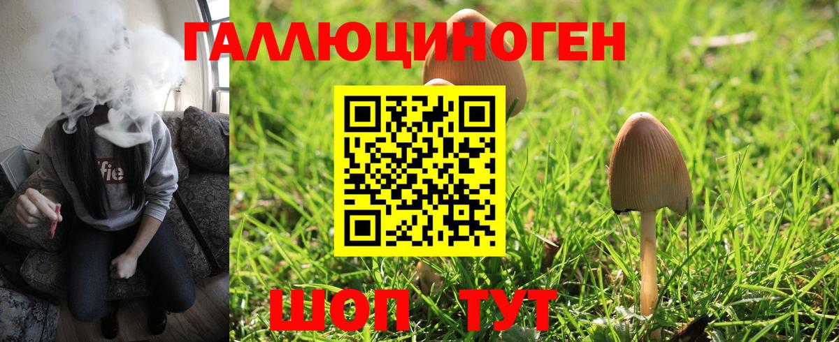 Псилоцибиновые грибы MAGIC MUSHROOMS Скопин